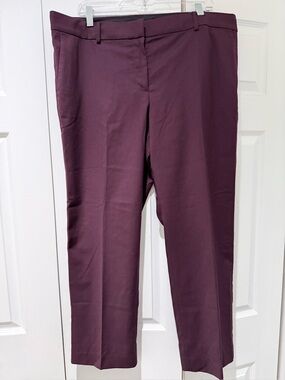 NEVER WORN! Ann Taylor Sophia petite Pants